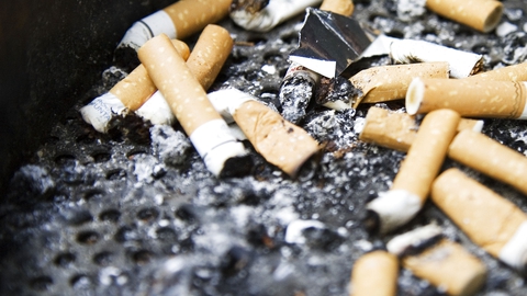 Cigaretskodder som disse bliver snart et sjældent syn i Lollands Kommune. (Foto: Lars Rievers/Ritzau Scanpix)