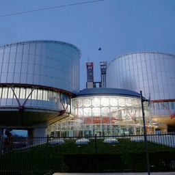 En udvisningsdom mod en tyrkisk statsborger vil nu blive behandlet i Storkammeret ved Den Europæiske Menneskerettighedsdomstol. (Arkivfoto).