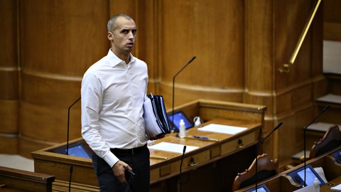 Mattias Tesfaye (S) vil have adgang til informationer fra amerikansk database. (Arkivfoto)