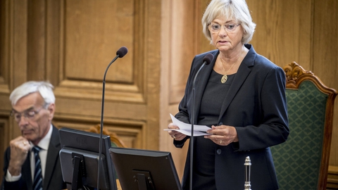 Mens Pia Kjærsgaard var formand for Folketinget, godkendte hun at bruge en halv million kroner på julepynt til Christiansborg. (Arkivfoto)