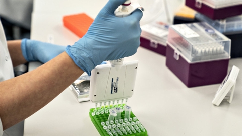 Fra 14. januar til 12. februar har SSI påvist 61 tilfælde af den ny coronavariant med navnet B1525 i Danmark. Den indeholder en mutation, E484K, som giver nedsat følsomhed for antistoffer. Der er dog ikke tegn på, at den smitter mere. (Arkivfoto)