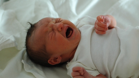 Børnerådet vil indføre en mindstealder for ikke-medicinsk omskæring af drengebørn. (Foto: Melimama/Wikimedia Commons)