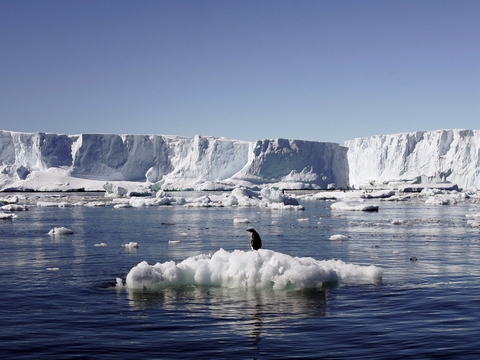 Det er t-shirtvejr på Antarktis med temperaturer omkring 20 grader. De seneste års temperaturstigninger bør bekymre os alle, mener dansk klimaforsker. (arkivfoto).