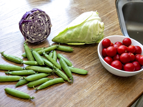 (Foto: Henning Bagger/Ritzau Scanpix)