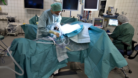 Det er uvist, hvor mange operationer, der er aflyst under coronakrisen. En professor vurderer, at det handler om 25.000-30.000 operationer. (Arkivfoto).