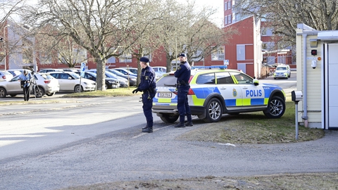 En 22-årig mand, der mistænkes for at have såret syv personer med et stik- eller slagvåben i den sydsvenske by Veltlanda, siger ved retsmøde fredag, at han "ikke har gjort noget".
