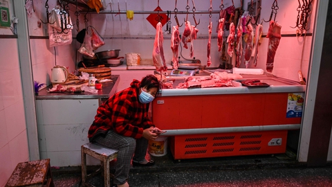 Foto: Hector Retamal/AFP/Ritzau Scanpix