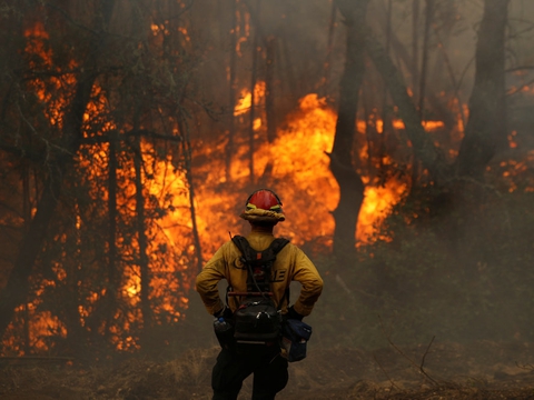 En brandmand overvåger en skovbrand i Californien i oktober. Ifølge FN er klimaforandringer skyld i, at naturkatastrofer som skovbrande, oversvømmelser og tørke er næste fordoblet på 20 år.