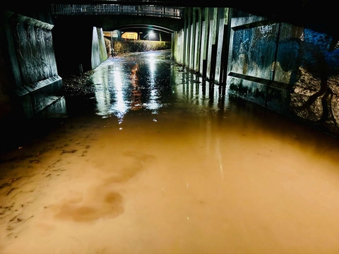 Foto: Presse-fotos.dk