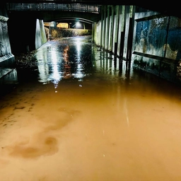 Foto: Presse-fotos.dk