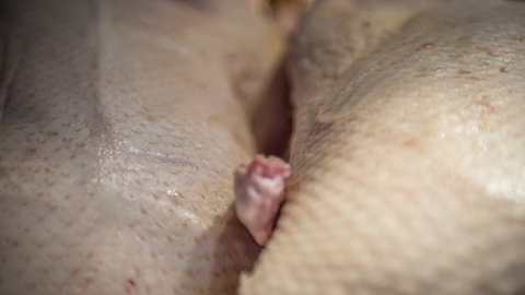 Andeslagteriet Dan Ducks image er lidt skade af en fejlagtig kontrolrapport fra Fødevarestyrelsen, hævder direktør og medindehaver Hardy Eskildsen. (Arkivfoto).