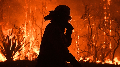 Lang tids knastørt vejr i den australske delstat New South Wales er blevet erstattet af usædvanlig vådt vejr. (Foto: Stringer/Reuters/Ritzau Scanpix)