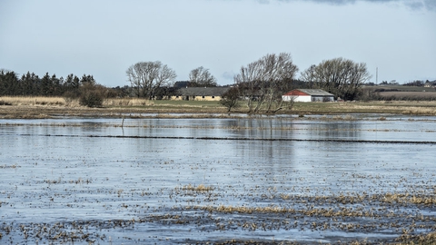 Oversvømmede marker fra Ryå ved Saltum i februar 2016. Aarhus Universitet har begået en ny regnefejl, hvor det nu fremgår, at Danmark udleder mindre kvælstof end hidtil oplyst, men stadig for meget. (Arkivfoto).