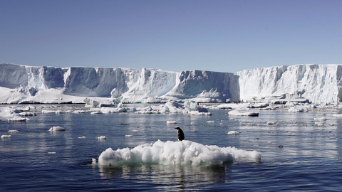 Det er t-shirtvejr på Antarktis med temperaturer omkring 20 grader. De seneste års temperaturstigninger bør bekymre os alle, mener dansk klimaforsker. (arkivfoto).