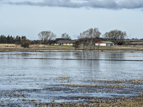 Oversvømmede marker fra Ryå ved Saltum i februar 2016. Aarhus Universitet har begået en ny regnefejl, hvor det nu fremgår, at Danmark udleder mindre kvælstof end hidtil oplyst, men stadig for meget. (Arkivfoto).