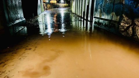 Foto: Presse-fotos.dk