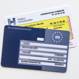 De amerikanske firmaer Google og Adobe har over en periode på knap fem år modtaget oplysninger, hvor danske cpr-numre ved en fejl har indgået. Det bekræfter Udviklings- og Forenklingsstyrelsen over for DR. Fejlen skulle være rettet nu. (Arkivfoto).