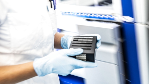 Genrefoto: Ólafur Steinar Rye Gestsson/Ritzau Scanpix