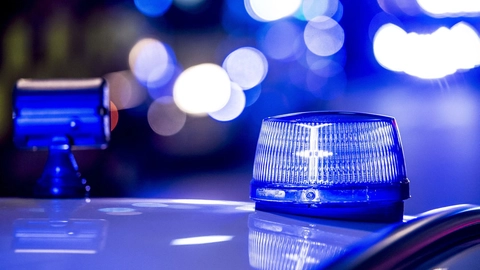 Politiet måtte fredag aften rykke ud nær Rønde, hvor en mand var kørt af vejen efter at have ramt et krondyr. (Arkivfoto)