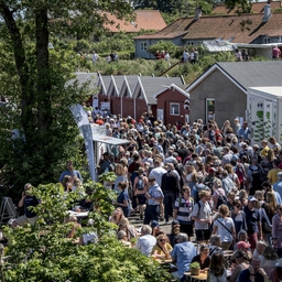 Både nogle af Bornholms mange turister og beboere på øen er smittet med bakterien campylobacter. (Arkivfoto)