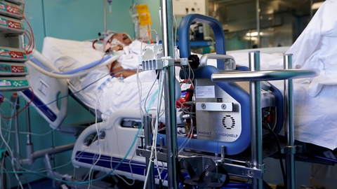 Foto: Vincent West/Reuters/Ritzau Scanpix