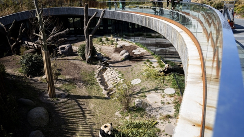 Zoologiske haver i København, Aalborg, Odense og Givskudr har fået Rigspolitiets accept til at åbne, så længe de følger sundhedsmyndighedernes krav. (Arkivfoto).