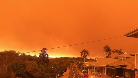 I november sidste år så himlen orange ud over kystbyen Port Macquarie i delstaten New South Wales nord for Sydney på grund af de mange brande.