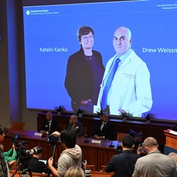 Ungarske Katalin Karikó og amerikanske Drew Weissman er mandag blevet tildelt Nobelprisen i medicin eller fysiologi.