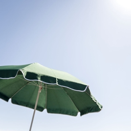 Vi siger tak for et fantastisk år og går på sommerferie. Ses på den anden side! (Foto: Mads Claus Rasmussen/Ritzau Scanpix)