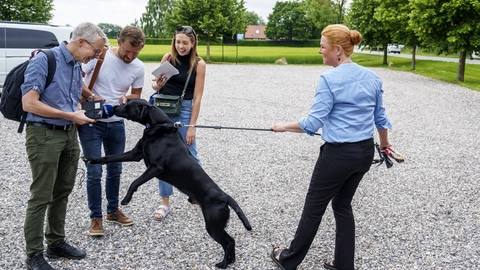 Blandt andet partilederen Inger Støjberg (DD) har haft sin hund med på arbejde. (Arkivfoto).