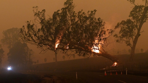 Australiens østkyst har haft hårdt brug for regn efter de skovbrande, der i øjeblikket hærger landet. Nu skaber regnen nye problemer med oversvømmelser. (Foto: Ritzau/Scanpix)