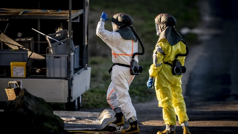 Ifølge Fødevarestyrelsen er næsten 100.000 fjerkræ fordelt på flere besætninger blevet aflivet i år på grund af fugleinfluenza. (Arkivfoto).