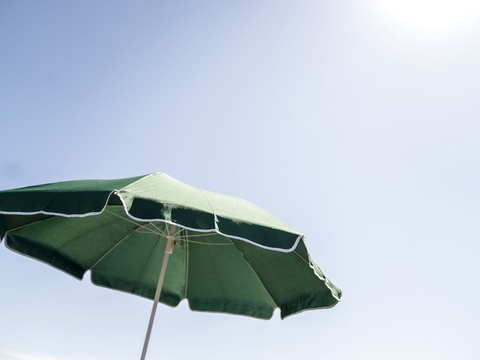 Vi siger tak for et fantastisk år og går på sommerferie. Ses på den anden side! (Foto: Mads Claus Rasmussen/Ritzau Scanpix)