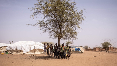 En flok børn har søgt skygge under et træ i en lejr for internt fordrevne i det nordlige Burkina Faso. I lejren bor omkring 10.000 mennesker, som er sendt på flugt fra deres hjem på grund af de jihadistiske gruppers angreb. (Arkivfoto)